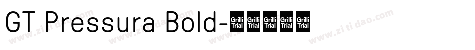 GT Pressura Bold字体转换
